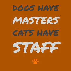 dogs have masters cats have staff