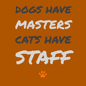 dogs have masters cats have staff